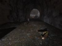 Особенно способствует мумификации недоступность хищников и обилие аномальной энергии. Кордон, тоннель с Электрами