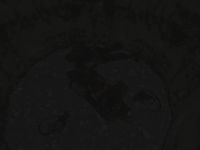 А ещё мумификация проходит и в колодцах. Да да, в тех, о которых ходят байки