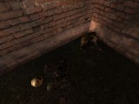 Иногда, трупы мумифицируются не полностью, либо уже после расчленения