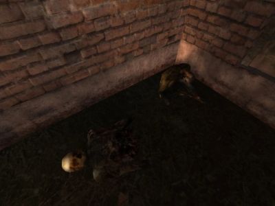 Иногда, трупы мумифицируются не полностью, либо уже после расчленения